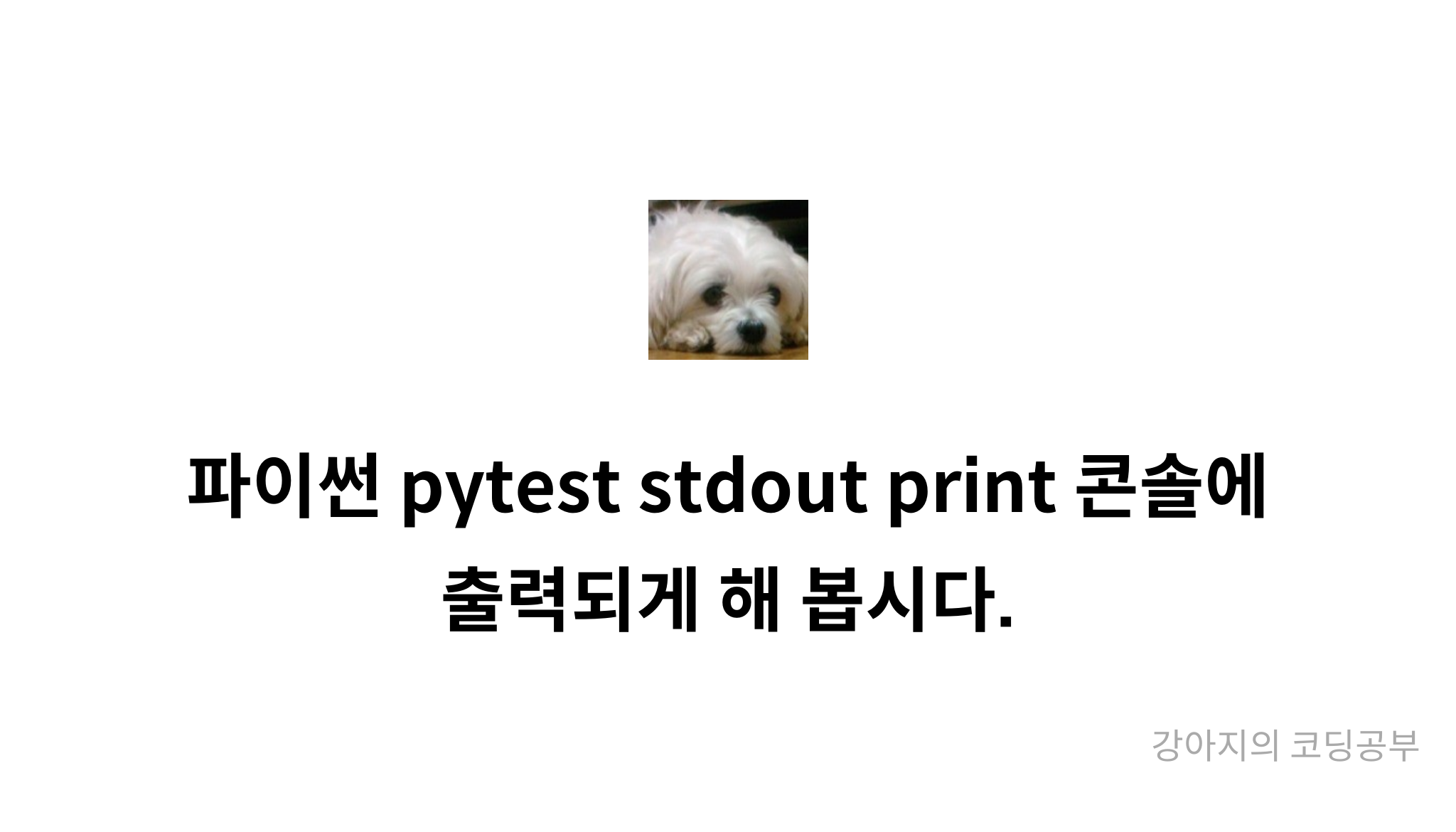 Pytest Stdout Print Mysetting